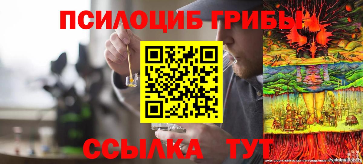 Балашов  Псилоцибиновые грибы Magic Shrooms  Вход с VPN 