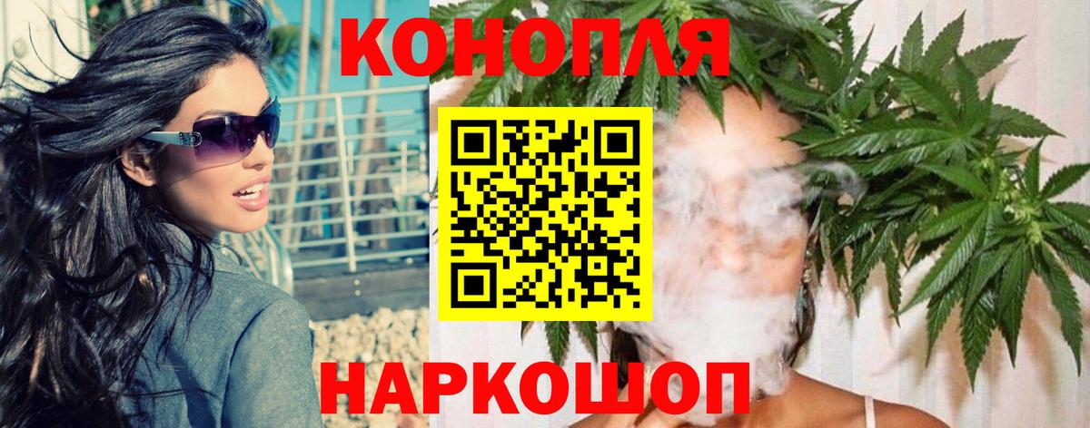 Бошки марихуана сатива Балашов